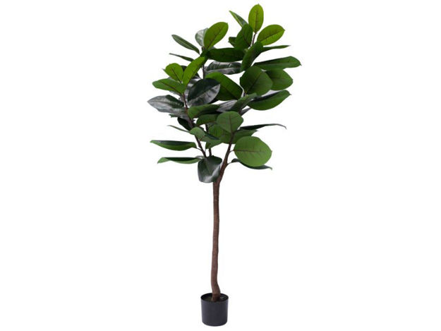 Slika Umjetno drvo fikus lyrata 210 cm; 58 listova