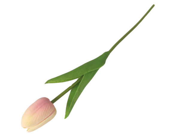 Slika Tulipan 32 cm; krem/roza