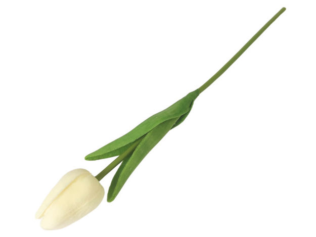 Slika Tulipan 32 cm; krem