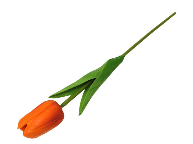 Slika Tulipan 32 cm; narančasta