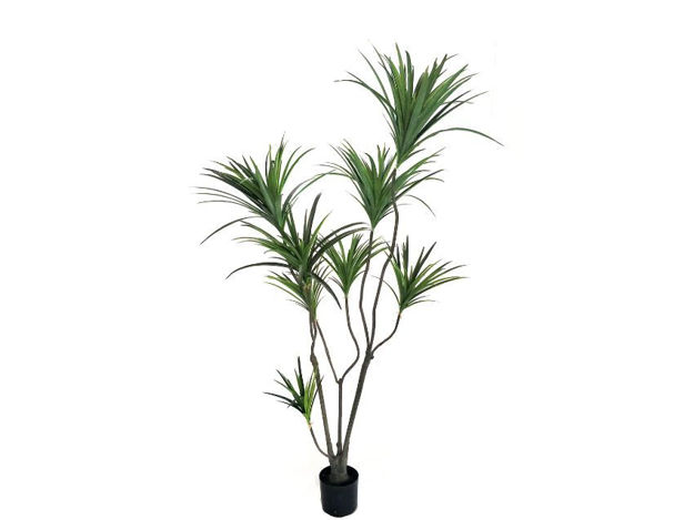 Slika Umjetno drvo dracena 180 cm; 321 list