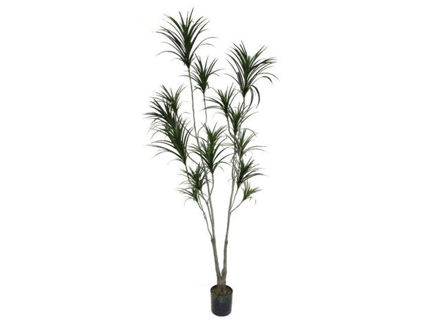 Slika Umjetno drvo dracena 250 cm; 522 lista