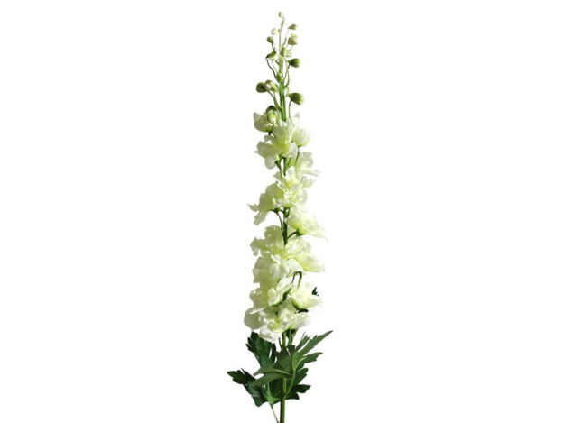 Slika Delphinium/Kokotić 79 cm krem