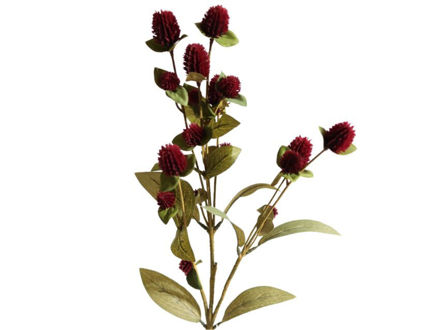 Slika Globosa x7 suha 69 cm burgundy