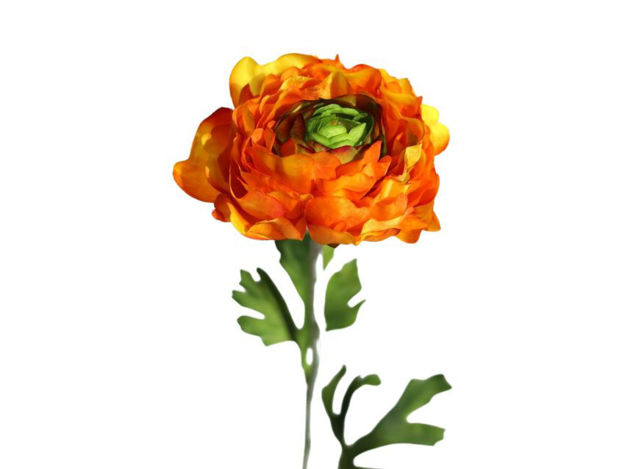 Slika Ranunkula 51 cm narančasta