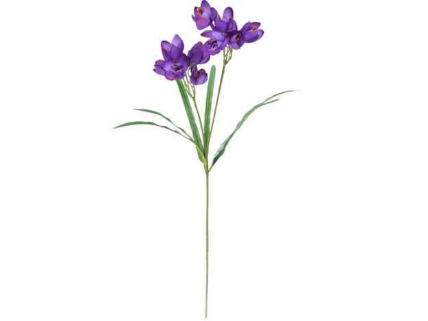 Slika Crocus 61 cm; ljubičasta