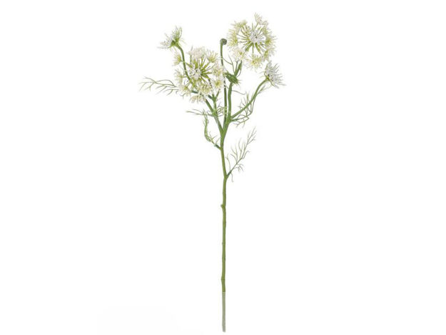 Slika Grana zelenila ammi 61 cm; bijela