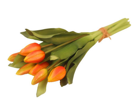 Slika Buket tulipana 29 cm, 7 grana, narančasta