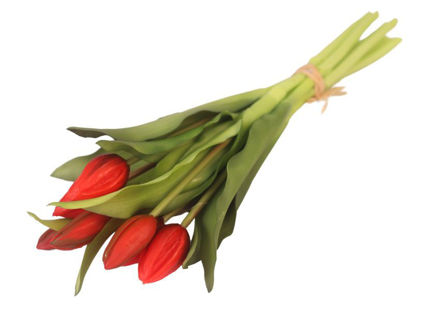 Slika Buket tulipana 29 cm, 7 grana, crvena