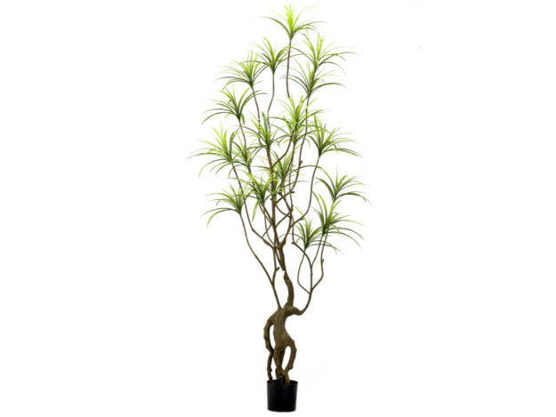 Slika Umjetno drvo dracena 250 cm