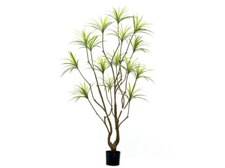 Slika Umjetno drvo dracena 210 cm