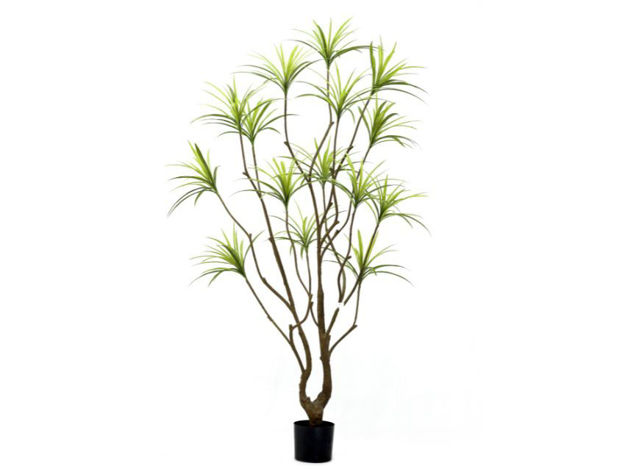 Slika Umjetno drvo dracena 210 cm