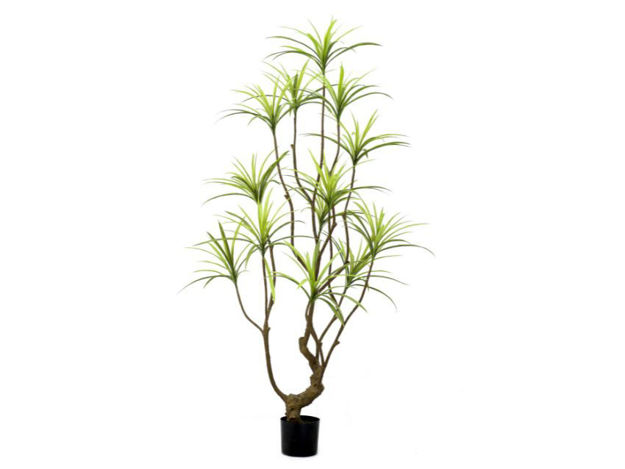 Slika Umjetno drvo dracena 180 cm