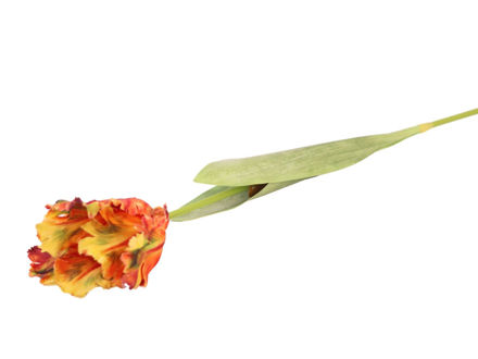 Slika Tulipan 70 cm;  mix boja