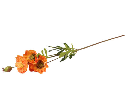 Slika Grana maka 69 cm;narančasta