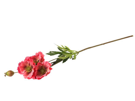 Slika Grana maka 69 cm; roza