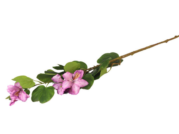 Slika Grana bauhinia 85 cm; ljubičasta