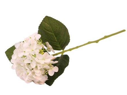 Slika Hortenzija 50 cm; bijela