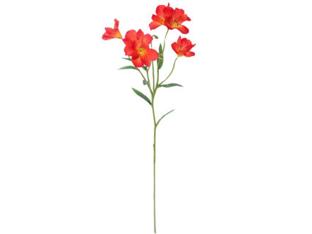 Slika Alstromeria 62 cm; narančasta