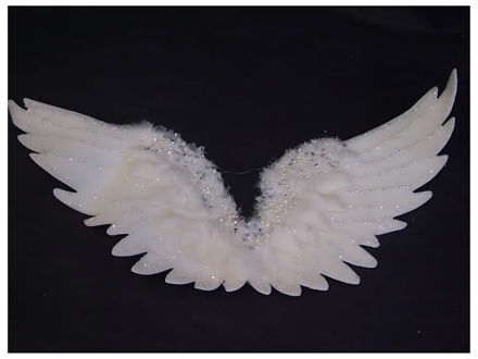 Slika Krila anđela, bijela 43x21cm