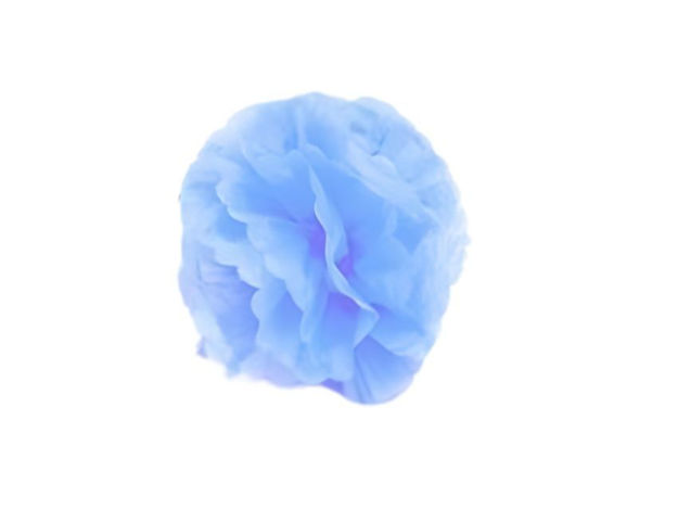 Slika Pom pom-20cm svj.Plavi