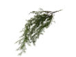 Slika Kopar visećI grm 105 cm zelena