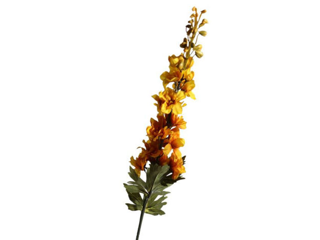 Slika Dalphinium/kokotić suhi 79 cm senf
