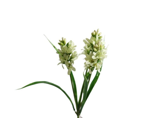 Slika Zumbul x3 31cm krem