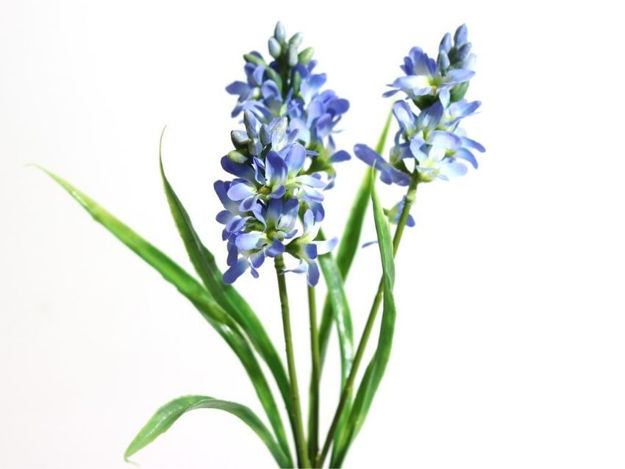 Slika Zumbul buket x 3 plavi 31cm