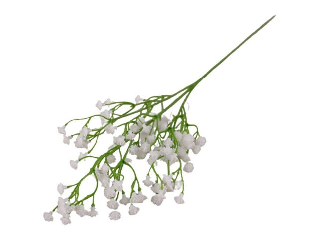 Slika Gipsofilija bijela 52cm