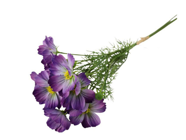 Slika Cosmea/uresnica buket x6; 52cm. Lila