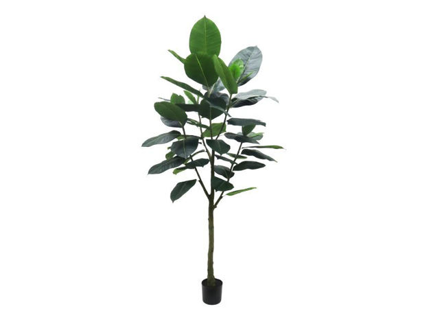 Slika Umjetno drvo fikus elastica 210 cm; 60 listova