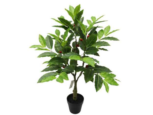 Slika Umjetno drvo kave 60cm; 106 listova