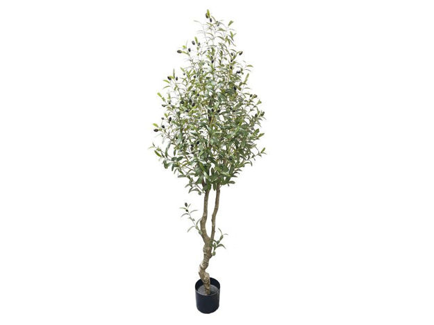 Slika Umjetno drvo maslina 180 cm; 1224 lista