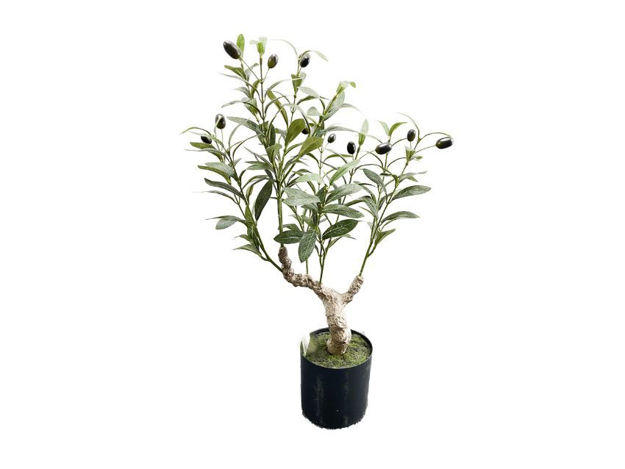 Slika Umjetno drvo maslina 58 cm; 144 lista
