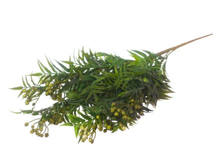 Slika  Buket zelenila 60 cm; t.zelena