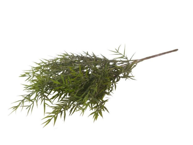 Slika  Buket zelenila 45 cm; zelena