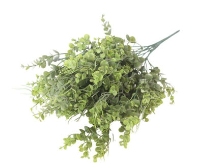 Slika  Buket zelenila 48 cm; zelena