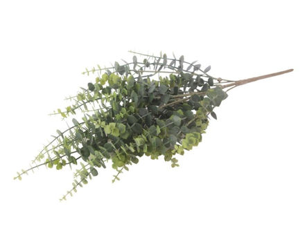 Slika  Buket zelenilo 63 cm; sv.zelena