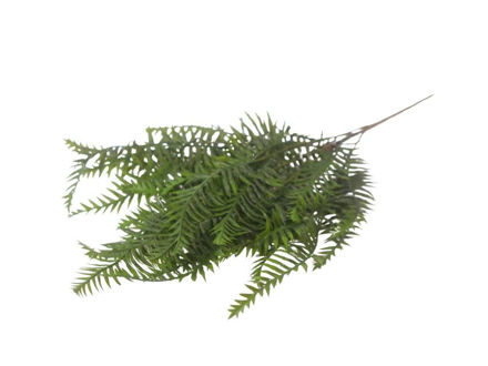 Slika  Buket zelenilo 65 cm; t.zelena