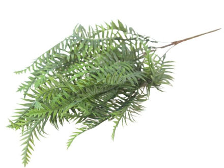 Slika  Buket zelenilo 65 cm; zelena