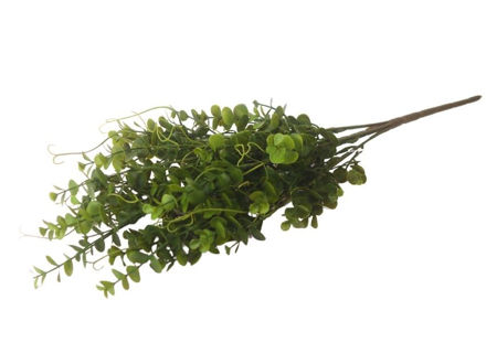 Slika  Buket zelenilo 59 cm; t.zelena