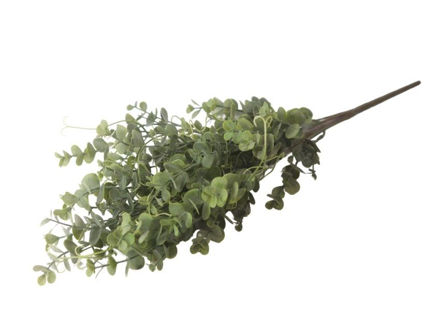 Slika  Buket zelenilo 59 cm; sv.zelena