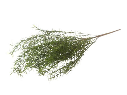 Slika  Buket zelenila 63 cm; t.zelena