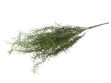 Slika  Buket zelenila 63 cm; sv.zelena