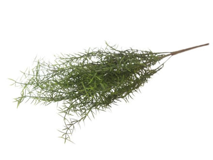 Slika  Buket zelenila 63 cm; sv.zelena