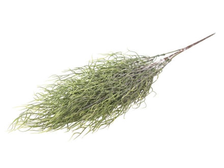 Slika  Buket zelenila 70 cm; sv.zelena