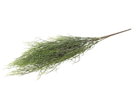 Slika  Buket zelenila 70 cm; zelena