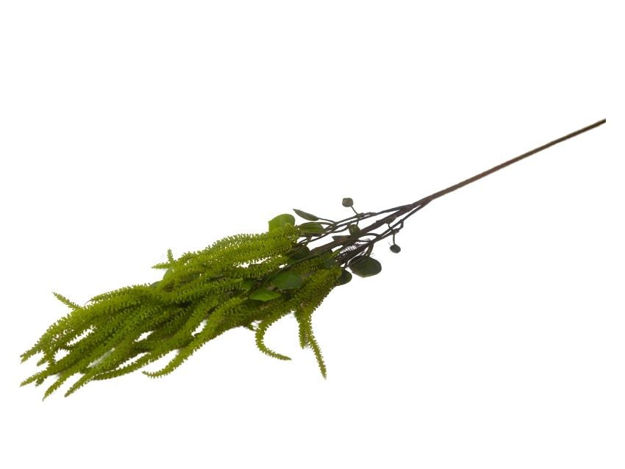Slika  Grana zelenilo 65 cm;t.zelena