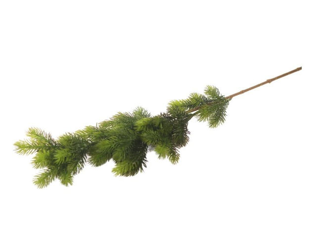 Slika  Grana zelenila 80 cm; t.zelena